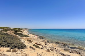 Ein Strand mit klarem Wasser, sandigem Ufer und vereinzelter Vegetation.