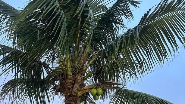 A two-story building with a pool, a hammock, and a slide. - House with a large and cozy pool, with space for the whole family, 100m from the beach. (Itanhaém)
