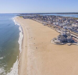 Beach - Brand New Apt Near Beach & Downtown- King Bed-Pets OK (Hampton)