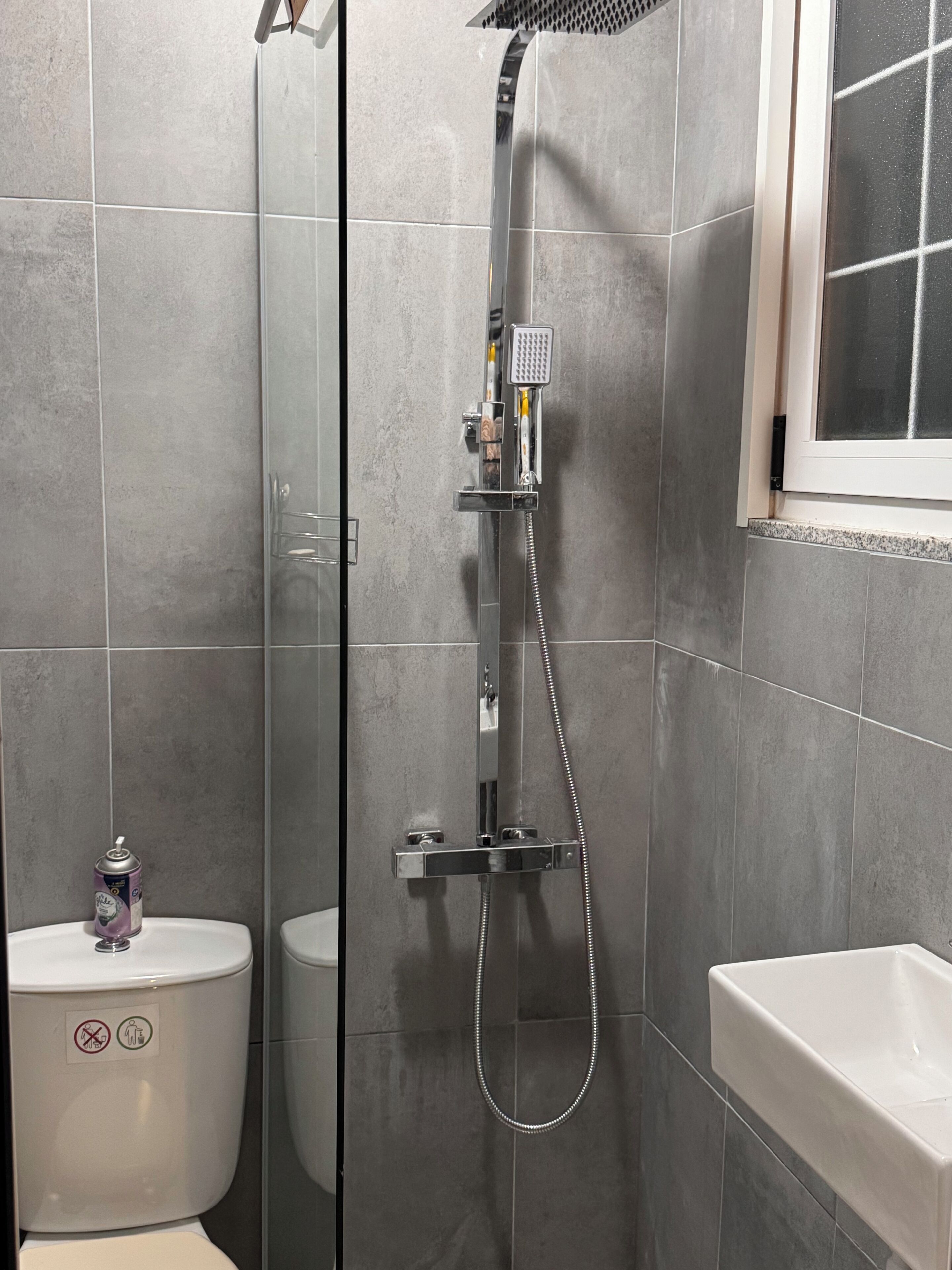 Hair dryer, bidet, towels, soap