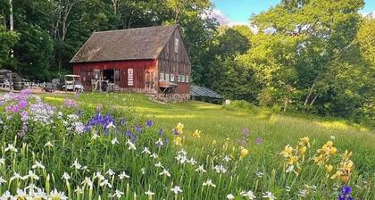BRAND NEW LISTING!!! Rustic cabin at historic orchard & cidery. Pet-Friendly!