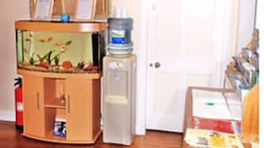 Ảnh chưa phân loại, 5 trong số 30 ảnh, nút