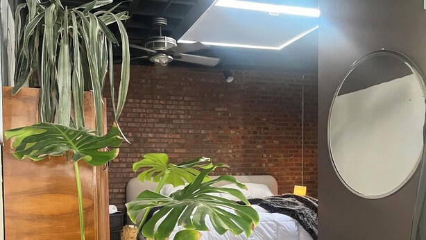 A bedroom with a bed, a potted monstera plant, a round mirror, and a woven basket. - Cozy 1-bedroom condo in Atlanta walking distance to Mercedes Benz Stadium (Atlanta)