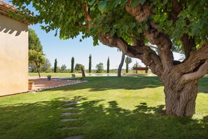 A well-maintained lawn with a large tree, a paved pathway, and a building with a tiled roof. - Wine estate | 20m pool and cinema (Pézenas)