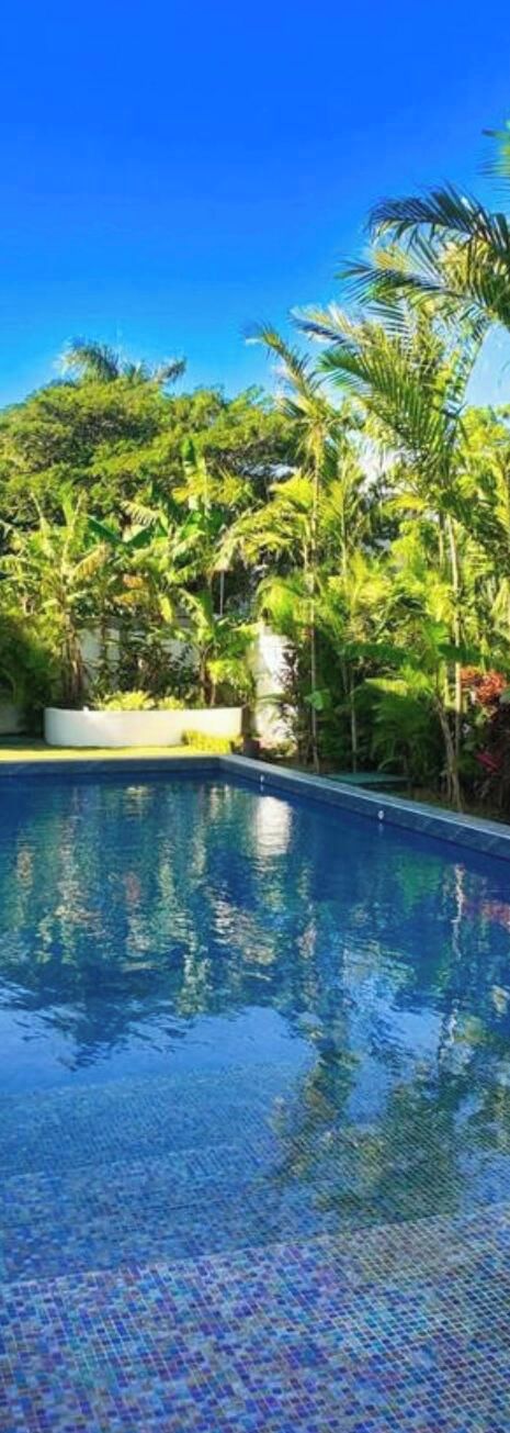 Una piscina azul cristalina rodeada de exuberante vegetación y palmeras.