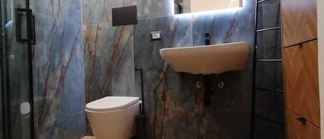 Shower, hair dryer, bidet, towels