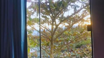 Standardrum | Interiör