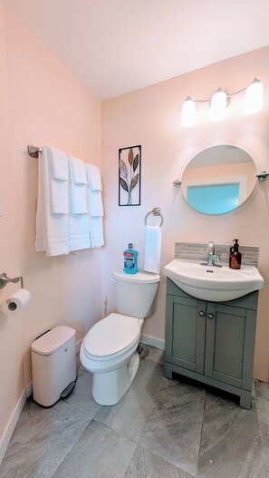 Hair dryer, towels, soap, toilet paper - Perfect 1-bedroom basement with AC in pleasant Burnaby (Burnaby)