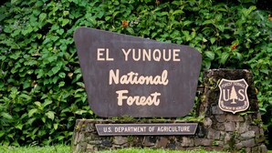 Señal del Bosque Nacional El Yunque con el logotipo del Departamento de Agricultura de los Estados Unidos.