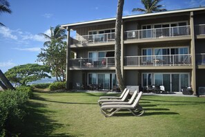 Property grounds - Oceanfront Two-Bedroom Condo, Steps from the Sand and Pool (Kapaʻa)