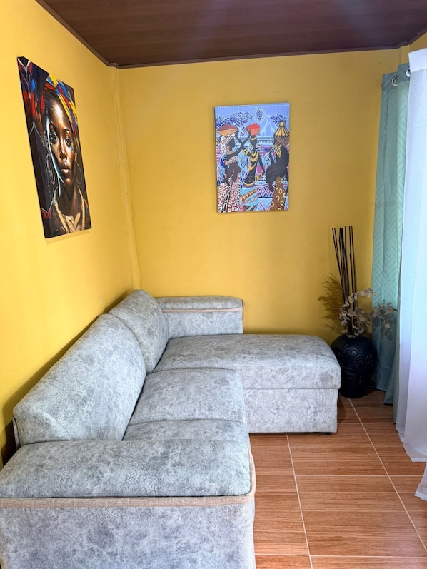A room with a grey sectional sofa, two wall-mounted paintings, a potted plant, and a curtain.
