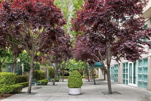 Quiet North Waterfront 1BR · WFH Setup · in-unit W/D · 24/7 Doorman, Gym, Sauna