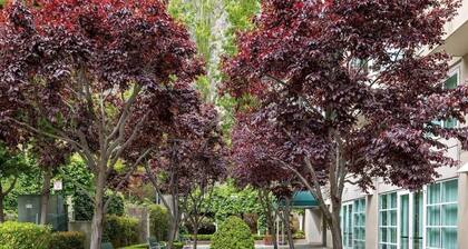 Quiet North Waterfront 1BR · WFH Setup · in-unit W/D · 24/7 Doorman, Gym, Sauna