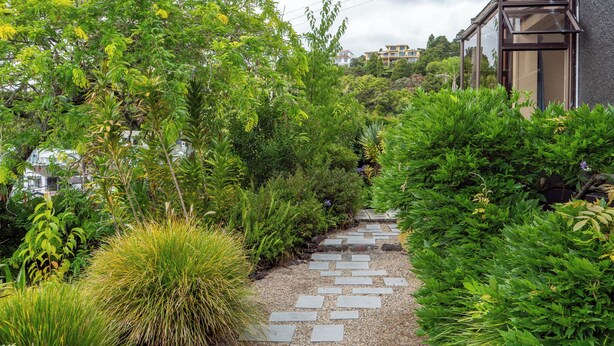 Ein Gartenweg mit verschiedenen Pflanzen und einem Gebäude im Hintergrund.