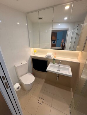 A modern bathroom with a toilet, sink, and mirror. - Modern 1 Bedroom Unit with Futon (Brisbane City)