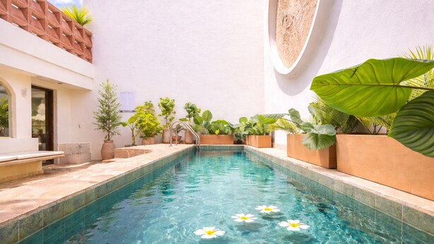 A swimming pool with clear water, surrounded by potted plants and a white wall. - Casa Museo by HOUSY (Medellín)