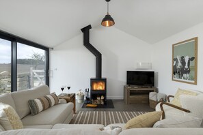 A modern living room with a fireplace, sofa, television, and artwork. - The Cattle Shed -  Dog friendly barn with a relaxing sauna and cold plunge (Windrush)