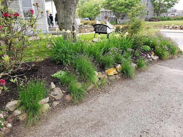 A garden with a variety of plants and a chair.