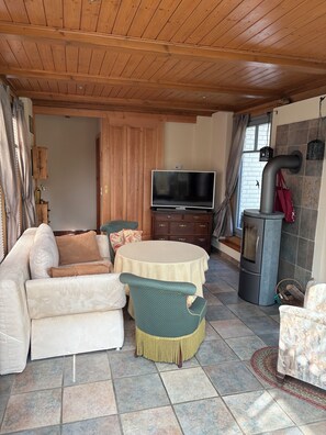 TV, fireplace, books