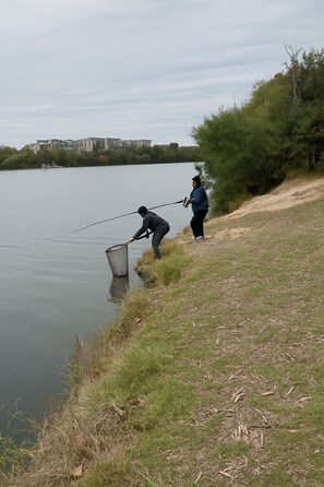 Miscellaneous - Best Walkable East Side DT Modern 5BR Home Stay (Austin)