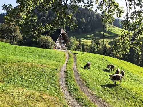 Rüttimätteli by Interhome