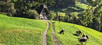 Rüttimätteli by Interhome