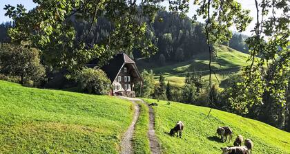 Rüttimätteli by Interhome