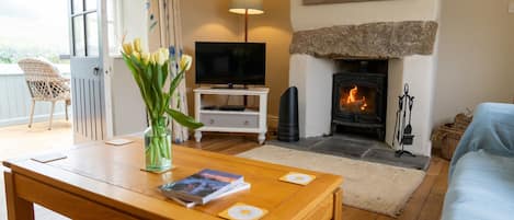 TV connectée, cheminée, livres