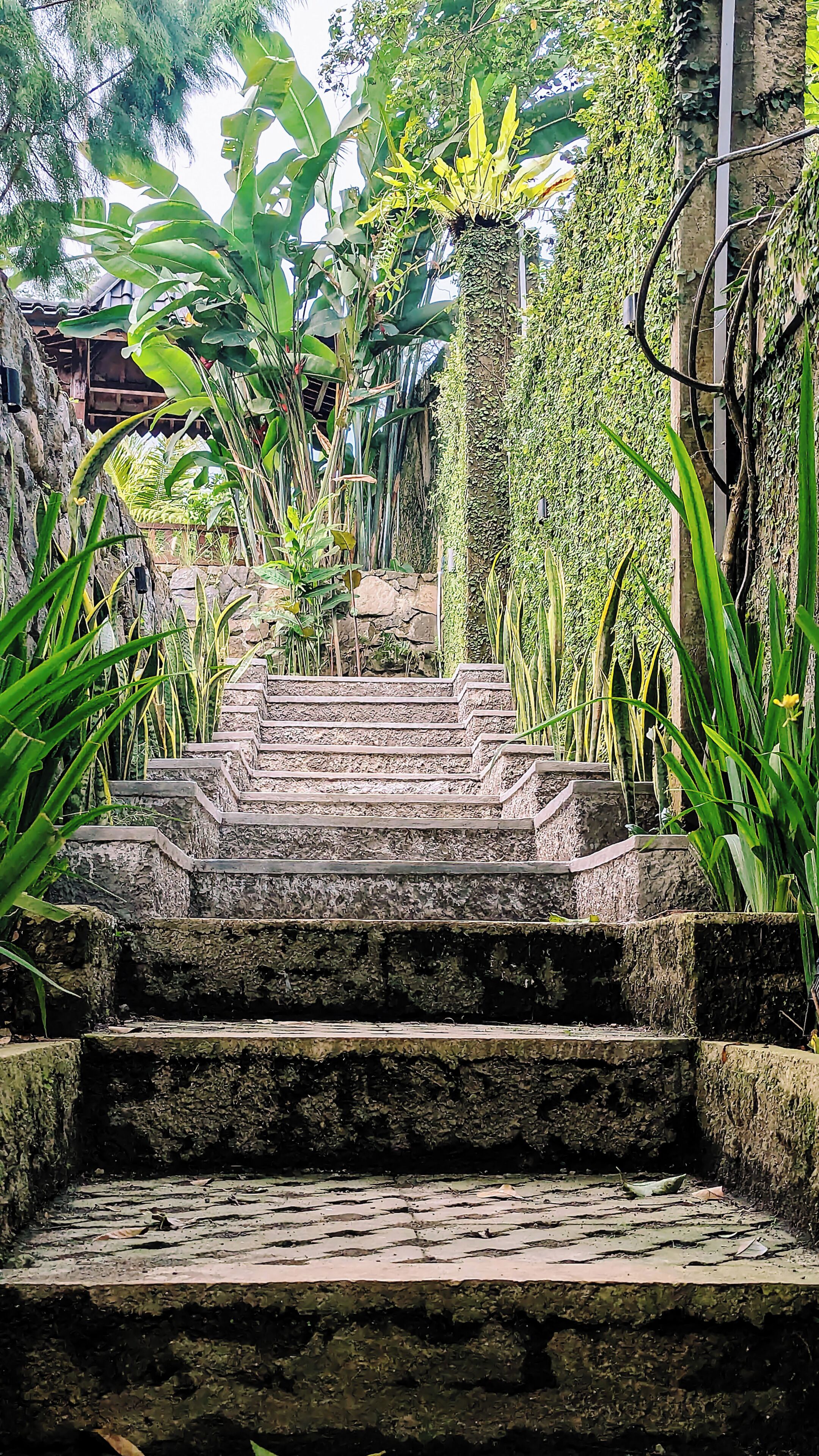 Pemandangan dari udara