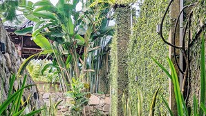 Unos escalones de piedra conducen a una edificación rodeada de abundante vegetación.
