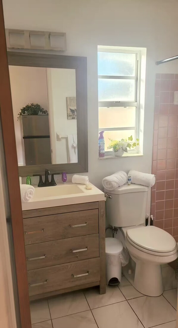 A bathroom with a toilet, sink, mirror, and window. - Cozy bedroom with a little kitchen (Spring Hill)