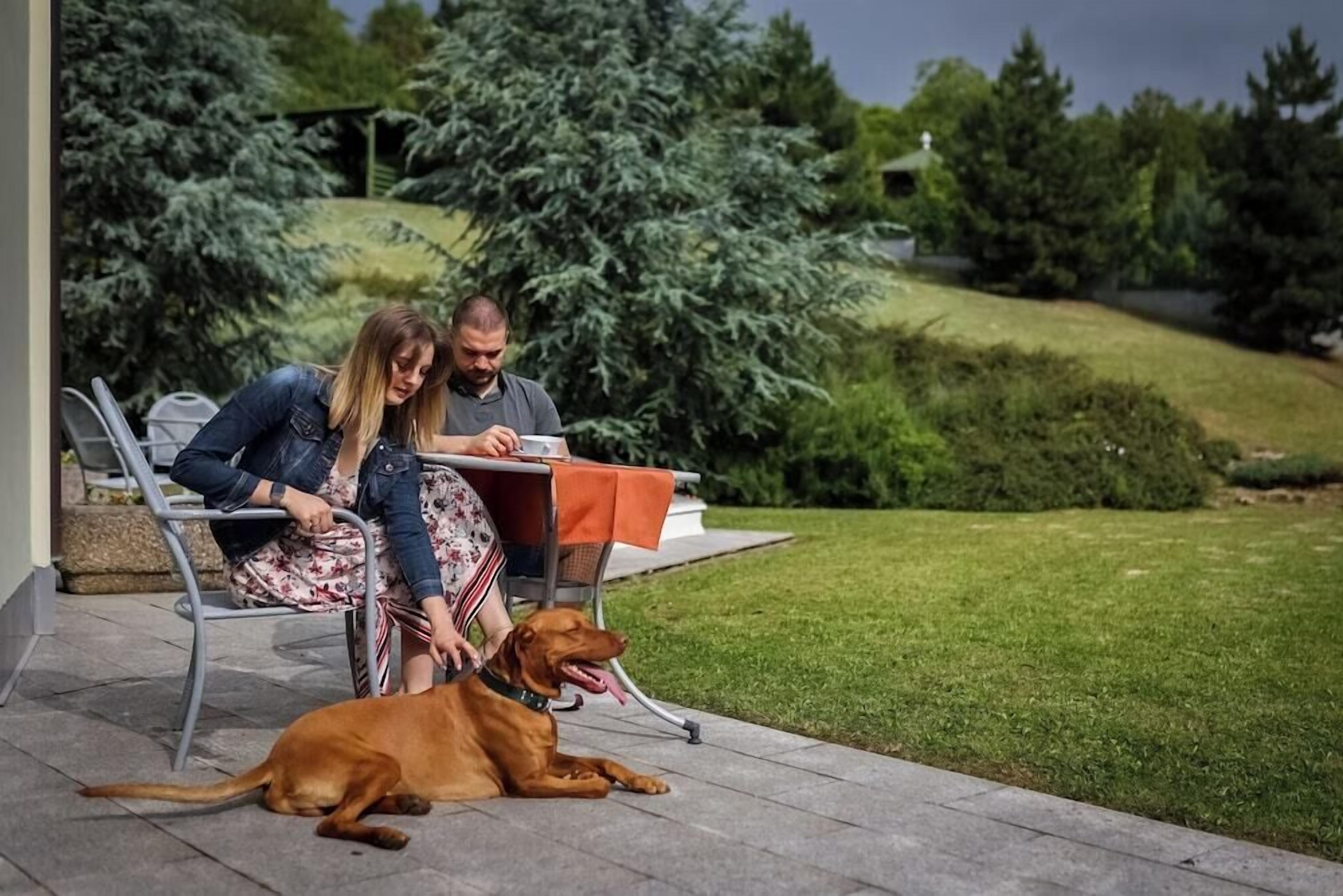 A patio with a table, chairs, and a dog lying on the ground.