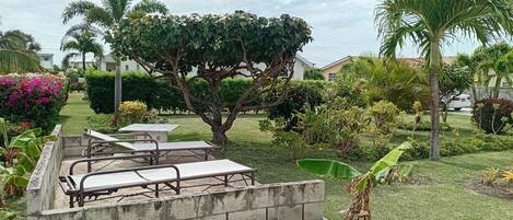 An outdoor seating area with tables and chairs, surrounded by lush greenery and palm trees.