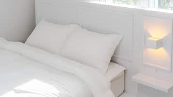 Basic Room, 2 Bedrooms (B (No pets allowed))