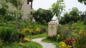 Un sendero en el jardín que lleva a un letrero de Restaurante Bar Albercas Playa.