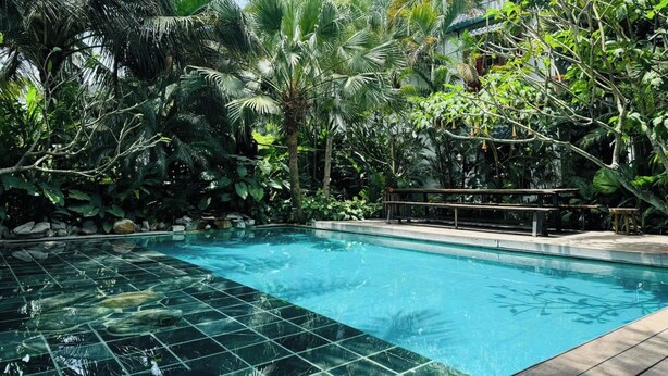 Una piscina cristalina rodeada de abundante vegetación y montañas al fondo.