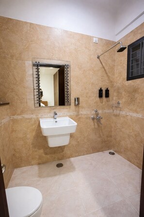 Shower, hair dryer, bidet, towels