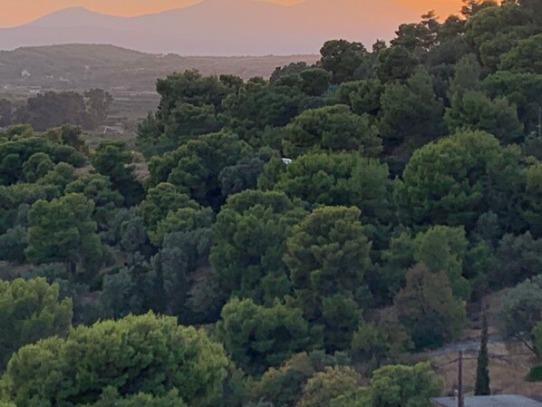 Miscellaneous - Villa Koru8. Quiet, carefree in a traditional Cretan village in Litsarda,Chania. (Chania)