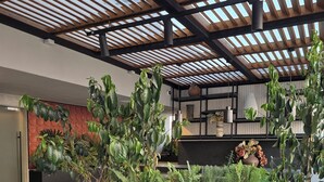 Ein modernes Interieur mit Dachgarten, einem schwarzen Pflanzgefäß mit Pflanzen und einem weißen Korbstuhl.