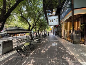 Miscellaneous - CENTRAL APARTMENT IN SARMIENTO PEDESTRIAN STREET (Mendoza)