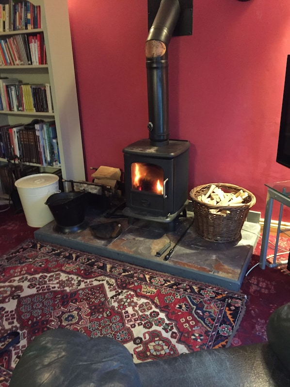 A room with a wood-burning stove, a bookshelf, a patterned rug, and a basket of firewood.