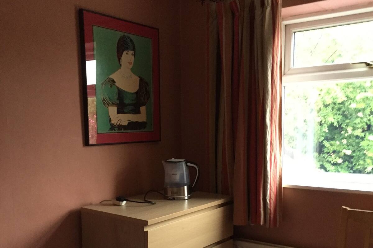 A room with a bed, a dresser, a radiator, a chair, and a window with curtains.