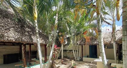 Turquesa Bacalar Centro