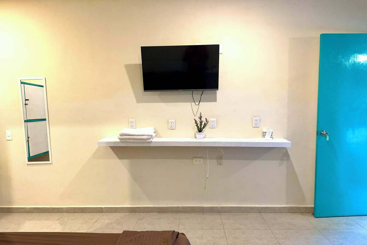 Une chambre d’hôtel avec un lit, un téléviseur à écran plat fixé au mur, une petite étagère avec des serviettes et une plante en pot, et une porte bleue.