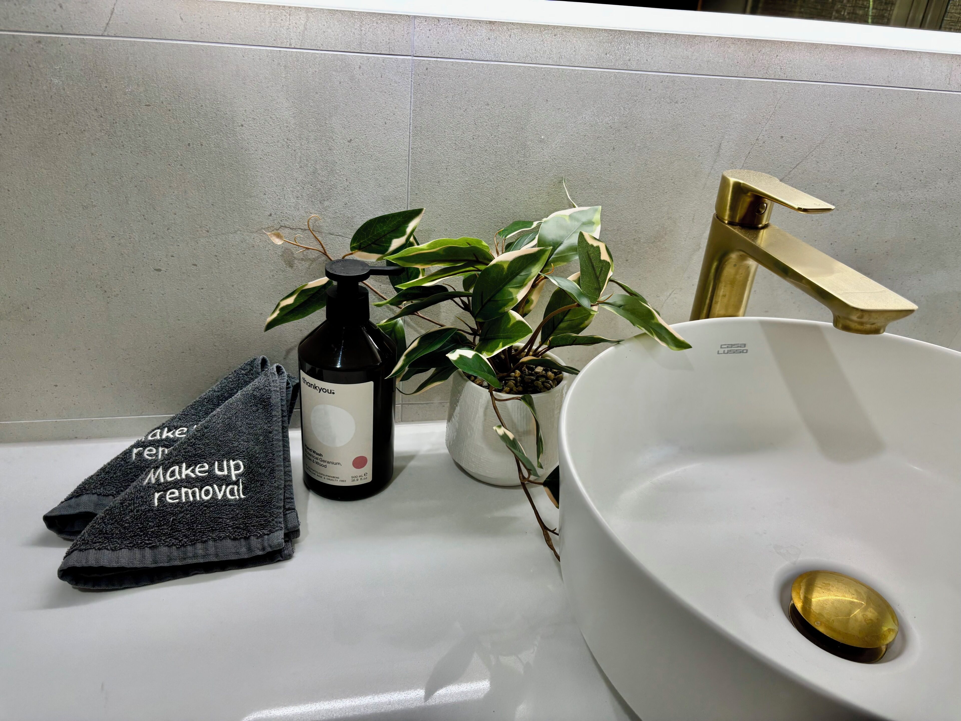 Un lavabo, un flacon de savon liquide, une serviette et une plante en pot.