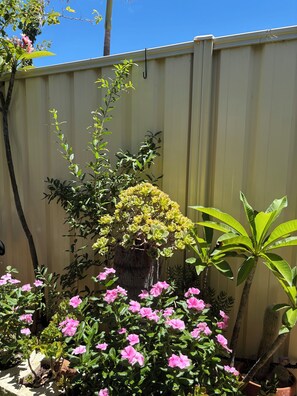 Exterior detail - Quiet Leafy Retreat- 10 minutes to (Yokine)