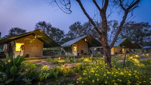 A row of modern, single-story cabins with large windows, surrounded by a garden with yellow flowers and trees. - Camp Sethumadai (Sethumadai)