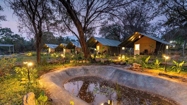 A series of tents with attached porches, surrounded by trees and a small pond. - Camp Sethumadai (Sethumadai)