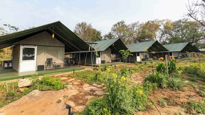 A series of modern, eco-friendly cabins with green roofs, surrounded by a landscaped garden with various plants and a stone pathway. - Camp Sethumadai (Sethumadai)