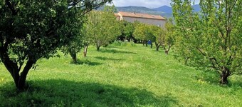  Charming detached cottage in the countryside - 7 km from the sea 